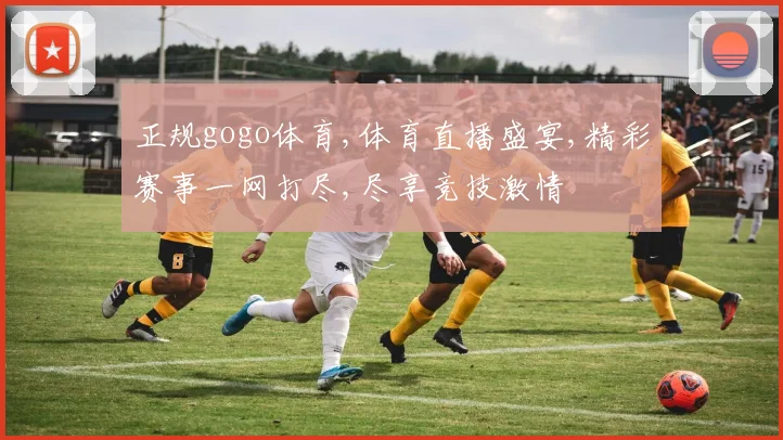 正规gogo体育,体育直播盛宴,精彩赛事一网打尽,尽享竞技激情