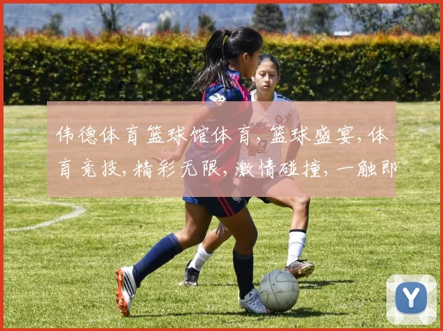伟德体育篮球馆体育,篮球盛宴,体育竞技,精彩无限,激情碰撞,一触即发