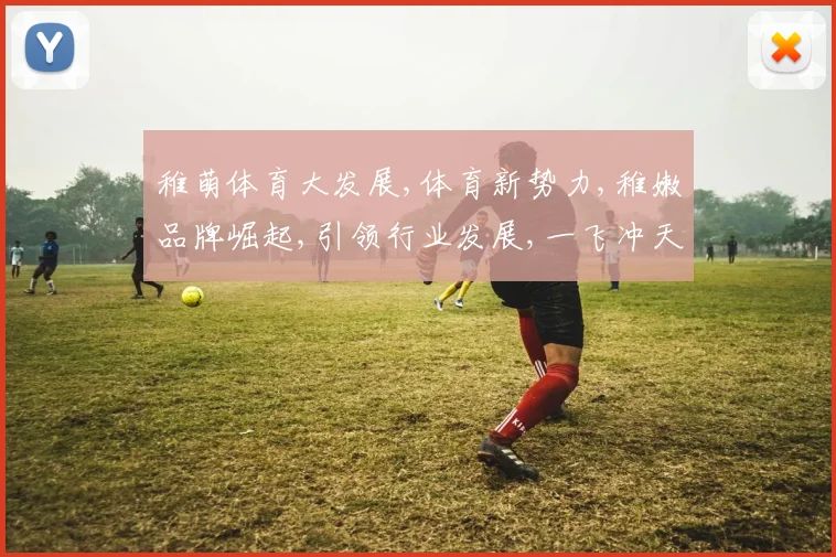 稚萌体育大发展,体育新势力,稚嫩品牌崛起,引领行业发展,一飞冲天