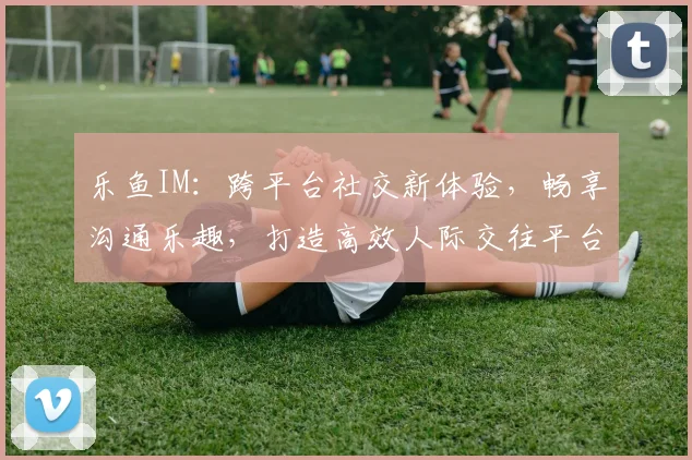 乐鱼IM：跨平台社交新体验，畅享沟通乐趣，打造高效人际交往平台，引领潮流