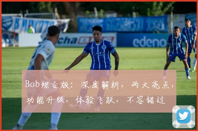 Bob综合版：深度解析，两大亮点，功能升级，体验飞跃，不容错过