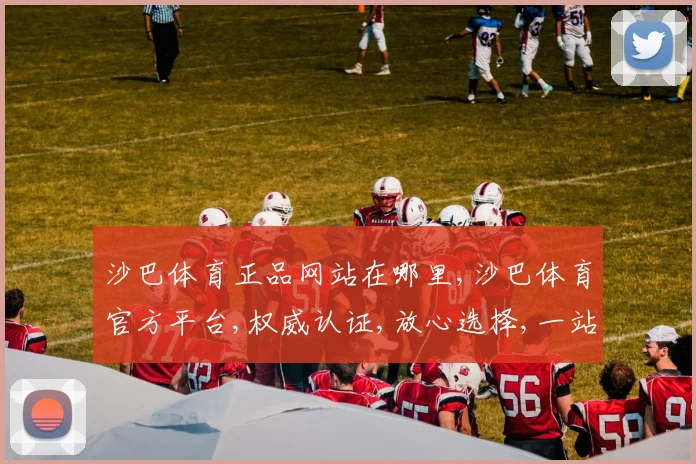 沙巴体育正品网站在哪里,沙巴体育官方平台,权威认证,放心选择,一站直达